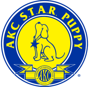 AKC S.T.A.R Puppy Training